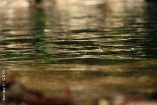 Obraz 揺らぐ水面