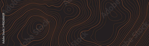 Fototapeta The stylized height of the topographic contour in lines and contours. The concept of a conditional geography scheme and the terrain path. Dark on black. Ultra wide size. Vector illustration.