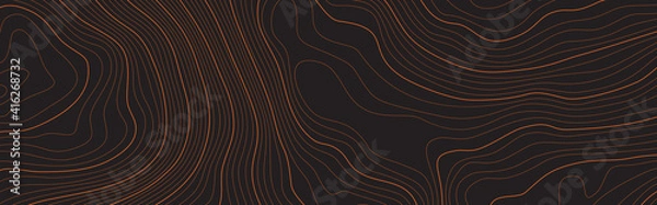 Fototapeta The stylized height of the topographic contour map in lines and contours. The concept of a conditional geography scheme and the terrain path. Vector illustration.