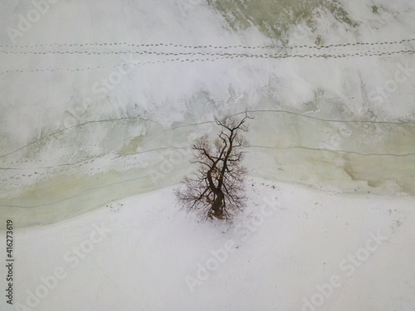 Fototapeta One tree on the banks of a frozen river. Frosty patterns on the ice. Aerial drone view. Foggy winter morning.