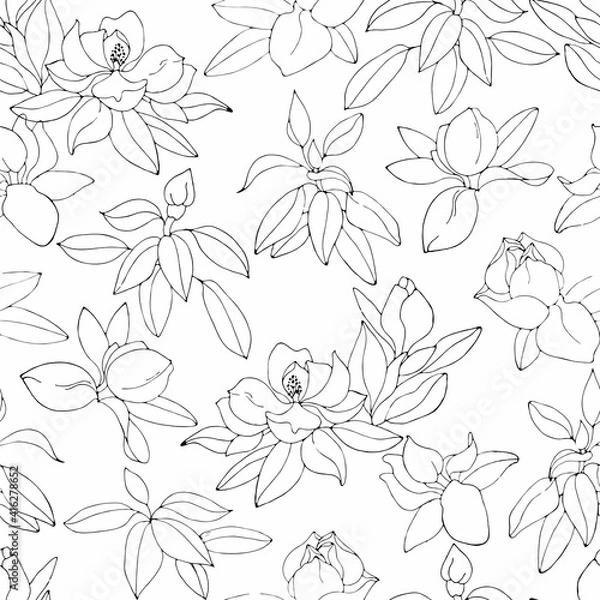 Fototapeta Blooming magnolias. Black outline on a white background. Seamless pattern.