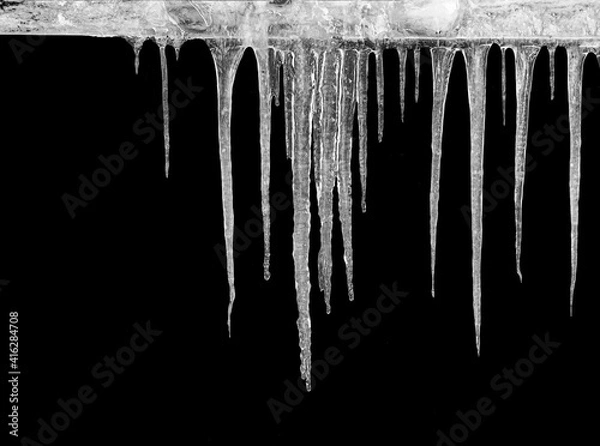 Fototapeta Icicles hanging from the roof on a black background. Spring melting snow with morning frost. Close-up. Natural icicles in a group of different sizes