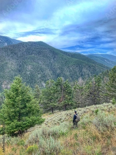 Obraz Wyoming Landscape