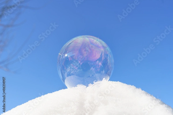 Obraz frozen soap bubble