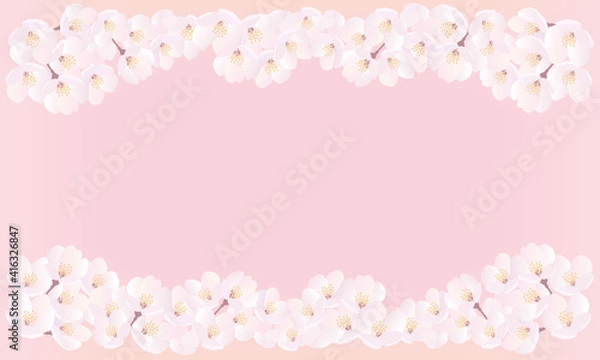 Fototapeta 桜上下背景イラスト-ピンク