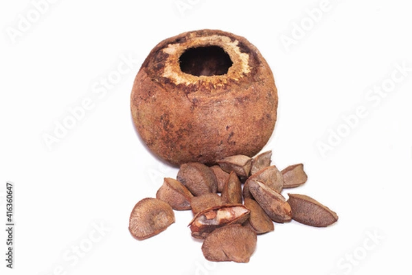 Obraz Castanha-do-Pará