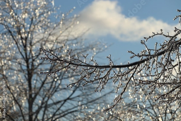 Fototapeta Ice Storm