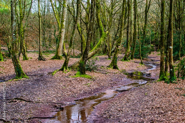 Obraz Brittany, France; February 17, 2021: Val sans retour, Val perilleux or Val des faux amants, fairy forest of Brocéliande, Tréhorenteuc in the Morbihan.

