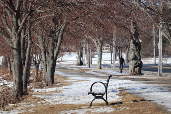 Fototapeta Back Cove