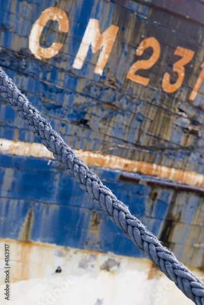 Obraz Amarres bleues