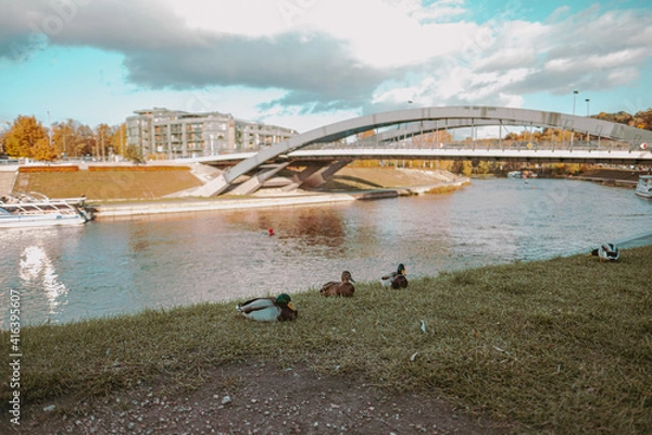 Obraz City in spring