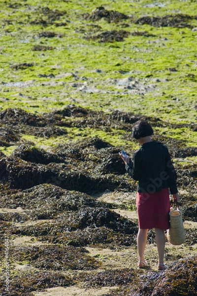 Obraz Mobile à gué