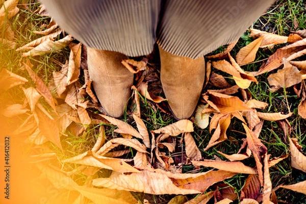 Obraz Shoes on a background of grass covered with tree leaves