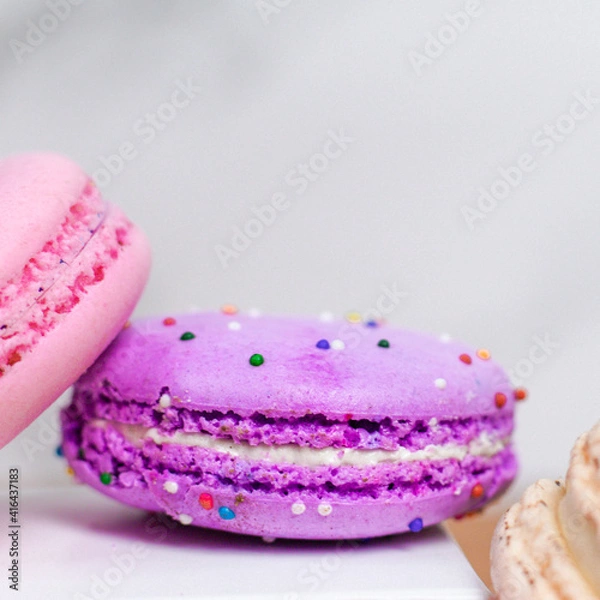 Obraz Purple Macaron Closeup