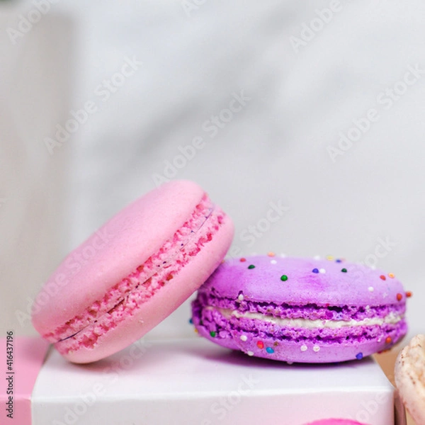 Obraz Pink and Purple Macarons