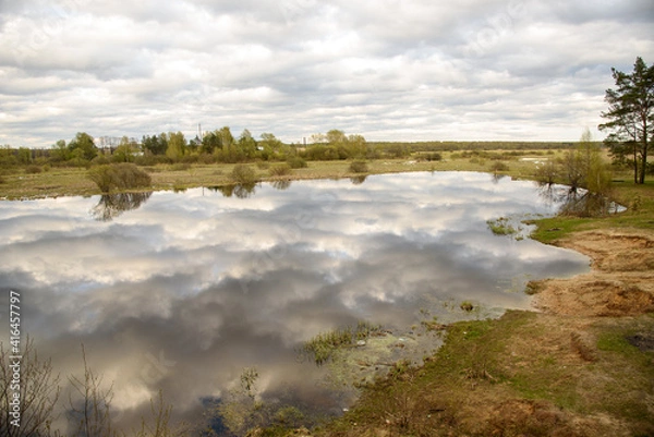 Obraz lake in the forest