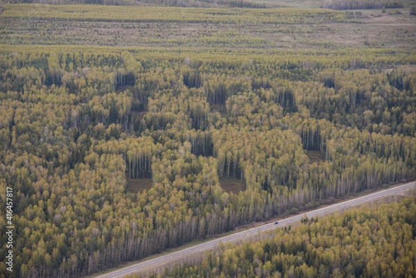 Obraz autumn in the mountains