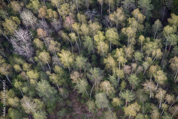 Obraz field in region