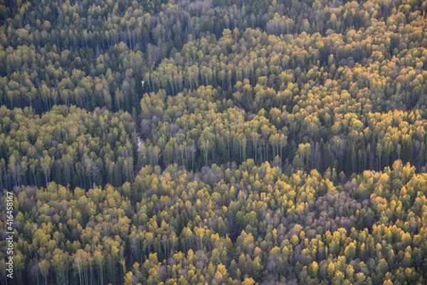 Obraz autumn in the mountains