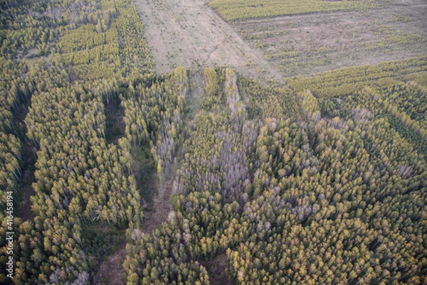 Obraz grass in the mountains