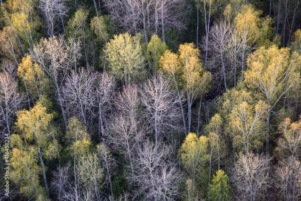 Obraz autumn in the mountains