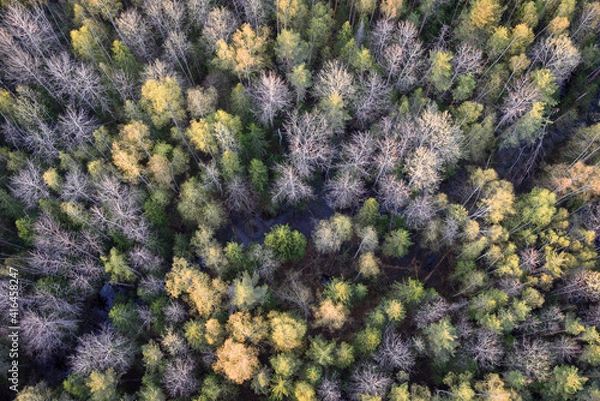 Obraz blue and green