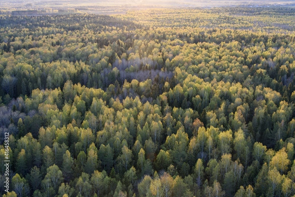 Obraz landscape in the mountains