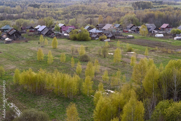 Obraz lavender field in region
