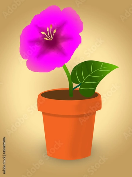 Obraz Scarlet flower