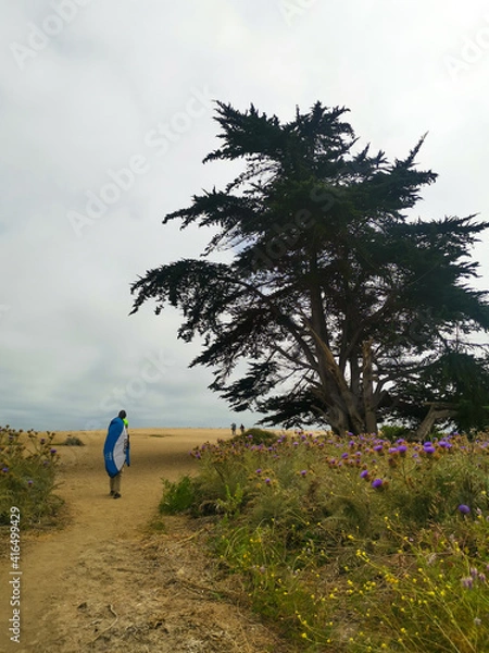 Fototapeta walking on the beach