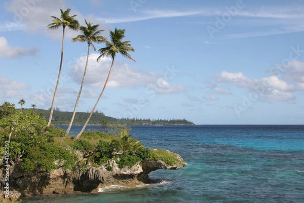 Obraz Tree looking at sea 2
