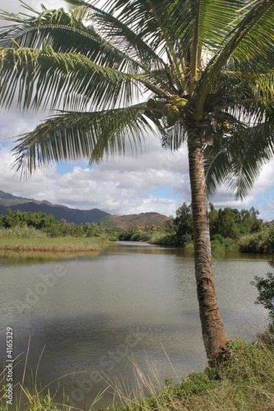 Fototapeta caledonian river 2