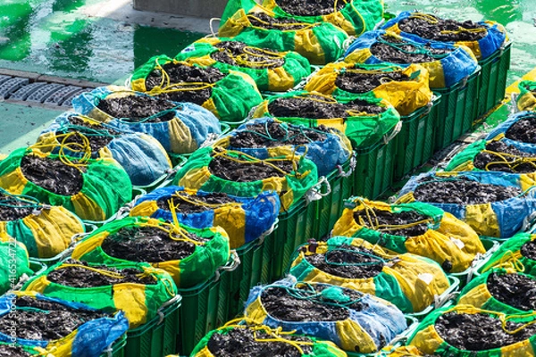 Fototapeta 新鮮な海苔