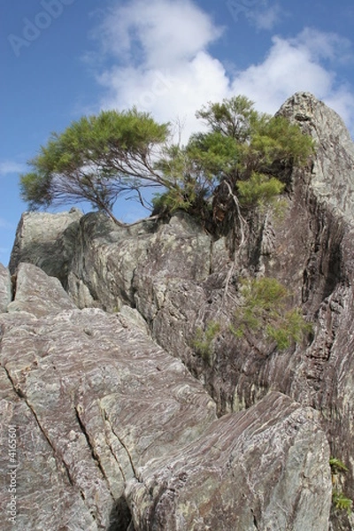 Obraz climbing rocks