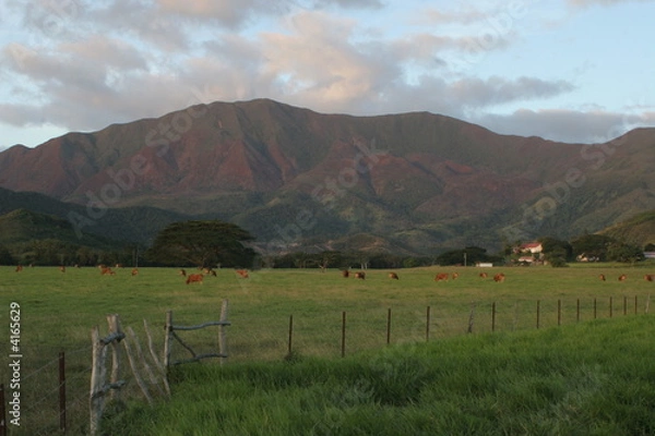 Obraz Caledonian farm