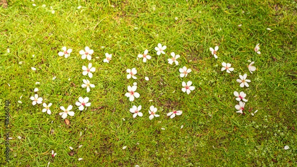 Fototapeta Lettering with almond flowers word joy on green grass in spring. Conceptual photo background of happiness, arriving spring, warm weather and flowers in bloom