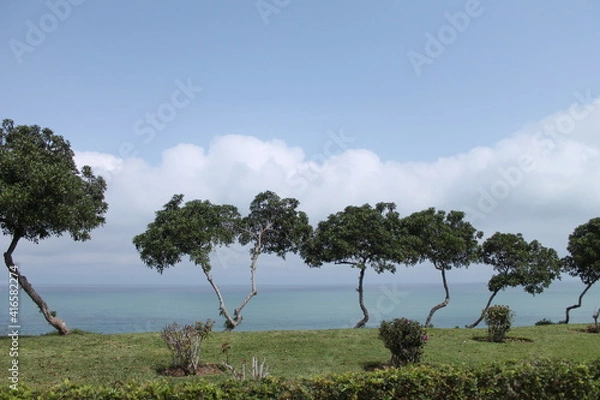 Obraz Secuencia de Árboles 2