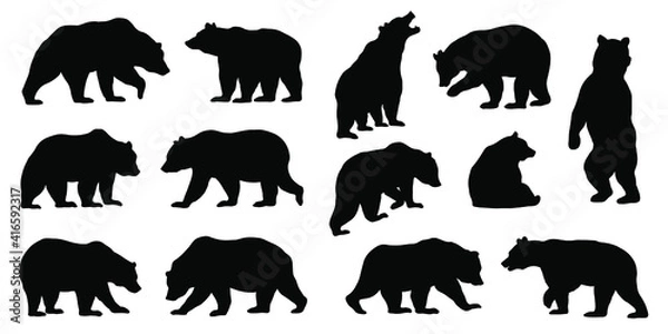 Fototapeta various bear silhouettes on the white background