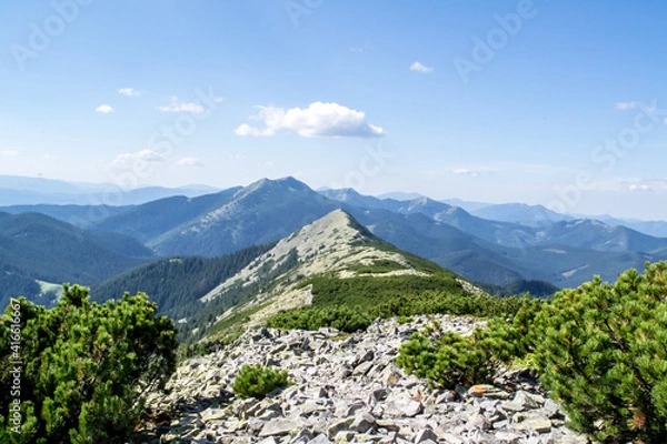 Obraz Beautiful landscapes of the Ukrainian Carpathians. View from the mountain Maly Gorgan and the mountain Sinyak.