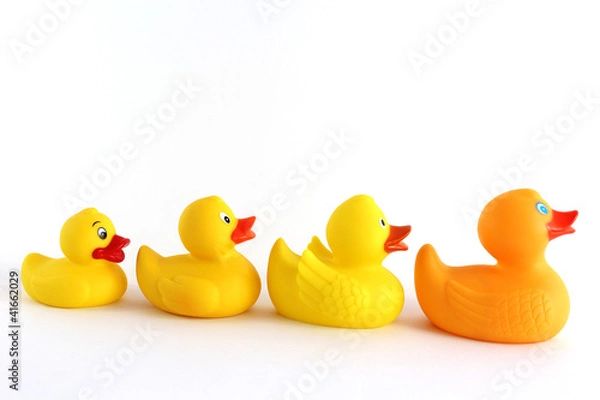 Fototapeta Badeentenparade