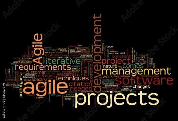 Obraz Word cloud with agile project concept