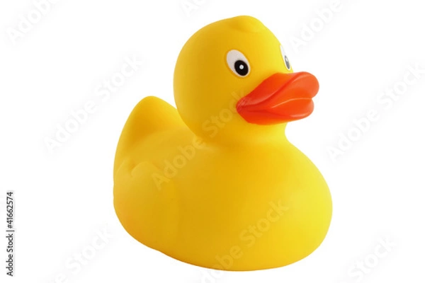 Fototapeta Myszołów