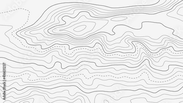 Obraz Topographic map background. Grid map. Abstract vector illustration.