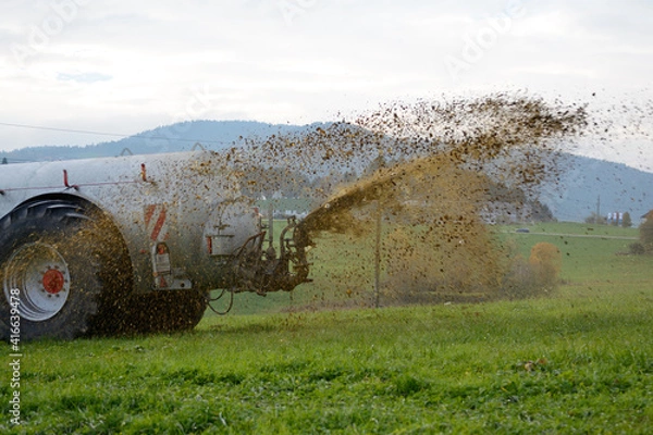 Obraz Manure Application On A Meadow