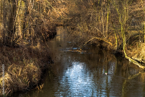 Fototapeta Rezczka taki strumyczek