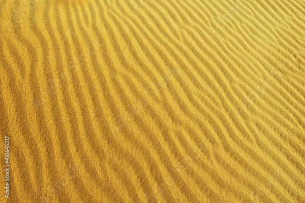 Obraz sand texture on a desert dune with patterns in the form of waves created by the wind