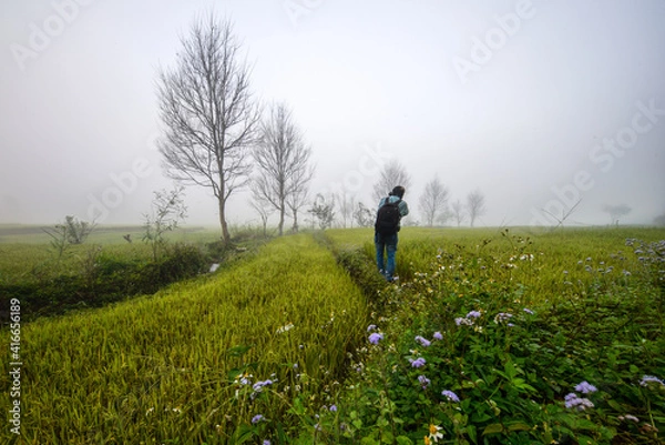 Fototapeta person running in the field