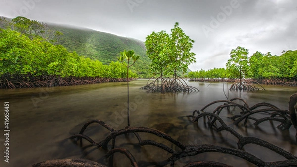 Fototapeta landscape with water and trees