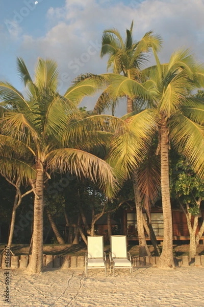 Obraz Love under the palms