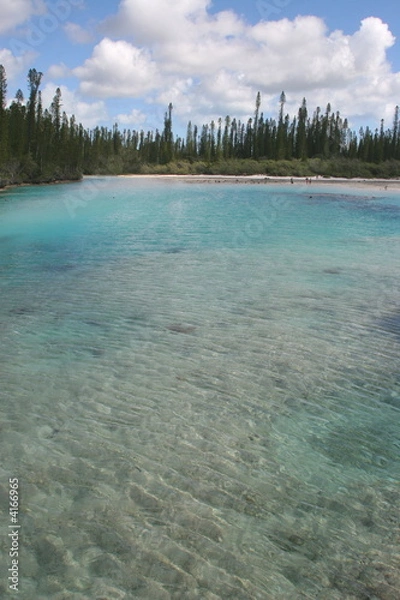 Obraz Natural paradise pool 3